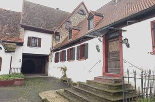 Haus mieten in Bergstraße 16, 67591 Hohen-Sülzen, Charmantes, stilvolles Altbau-EFH in denkmalgeschütztem Ensemble – mit großem Garten & Gewölbekeller