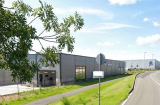 Gewerbeimmobilie kaufen in 63571 Gelnhausen, Modene Waschanlage (Baujahr 2022) in Gelnhausen zu verkaufen