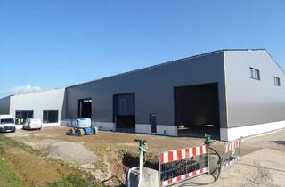 Gewerbeimmobilie mieten in 94327 Bogen, Bogen / A3: Gewerbehalle Neubau! Zu Vermieten!