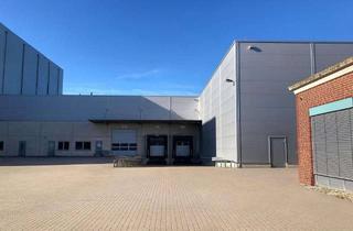 Gewerbeimmobilie kaufen in 48308 Senden, Produktions- und Lagerhalle mit Büro