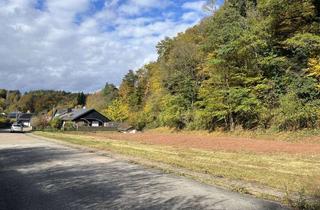 Grundstück zu kaufen in 76855 Annweiler, Sonniges Baugrundstück in Dimbach