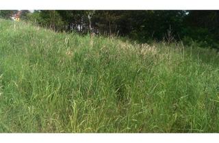 Grundstück zu kaufen in 01847 Lohmen, Ihr Baugrundstück in Lohmen