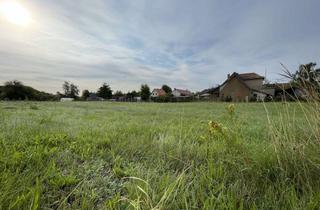 Grundstück zu kaufen in Hinter Der Schmiede, 02929 Rothenburg, Natur pur! Gestalten Sie Ihr Projekt: 2.300 m² Baugrundstück