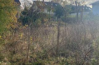 Grundstück zu kaufen in 13467 Hermsdorf, Baugrundstück in Hermsdorf 1,7km zum S-Bahnhof Hermsdorf