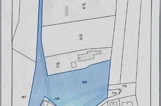 Grundstück zu kaufen in 32549 Bad Oeynhausen, Ca.8.000qm ! Waldidylle pur: Großes Grundstück für Natur-und Freizeitliebhaber