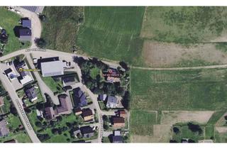 Grundstück zu kaufen in Auf Der Höhe, 79777 Ühlingen-Birkendorf, schönes Baugrundstück in Feldrandlage