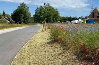 Grundstück zu kaufen in Bergweg, 16230 Melchow, Bauträgerfreies Grundstück (TF A) mitten im Naturpark Barnim