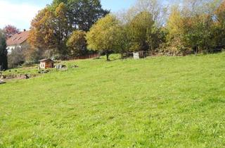 Grundstück zu kaufen in 97799 Zeitlofs, NEUER Preis. Traumgrundstück mit Urlaubsfeeling garantiert