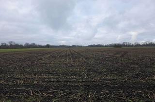 Gewerbeimmobilie kaufen in 85737 Ismaning, Ackerfläche/Landwirtschaftliches Grundstück in Aschheim (4,165ha)