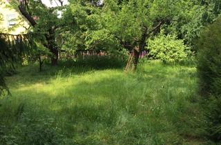 Gewerbeimmobilie kaufen in 18465 Tribsees, Gewerbegrundstück nahe Rostock - Rarität - Ihre Chance!