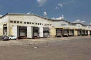 Geschäftslokal mieten in 04347 Leipzig, HALLEN.flächen im Gewerbegebiet Nord-Ost