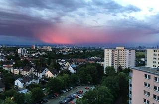 Wohnung mieten in Niederhöchstädter Straße 20, 61449 Steinbach, Helle und sonnige, renovierte 2-Zimmer-Wohnung mit Traumblick!