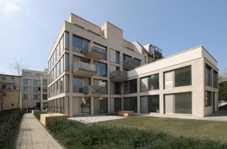 Wohnung mieten in Bölschestrasse 62, 12587 Friedrichshagen, Moderne 3-Zimmer Wohnung im Gartenhaus mit sehr großer Terasse in Berlin-Friedrichshagen