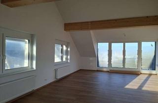 Wohnung mieten in Nelkenweg, 76356 Weingarten, Erstbezug nach Komplett-Sanierung