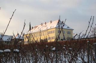 Wohnung mieten in Neumayerstraße 18, 67292 Kirchheimbolanden, Denkmalgeschütze 4-Zimmer-Altbauwohnung in Kirchheimbolanden