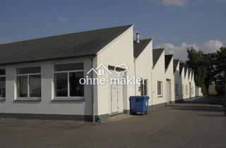 Büro zu mieten in 25421 Pinneberg, Gewerbehalle 680m², 5,80€/m² kalt (teilbar 500m² + 180m²)