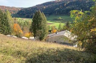 Haus kaufen in 72172 Sulz, Anwesen mit 3.096 m² Grundstück - Verkauf an privilegierte Landwirte / für privilegierte Vorhaben