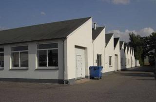 Gewerbeimmobilie mieten in 25421 Pinneberg, Gewerbehalle 680m², 5,80€/m² kalt (teilbar 500m² + 180m²)