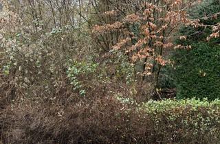 Grundstück zu kaufen in 51467 Bergisch Gladbach, Attraktives Baugrundstück in ruhiger Lage, provisionsfrei