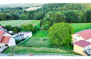 Grundstück zu kaufen in Probstberg 73, 93173 Wenzenbach, Großes Baugrundstück in Wenzenbach/Probstberg mit unverbaubarem Blick ins Grüne