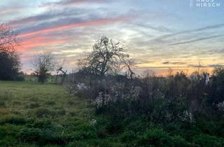 Grundstück zu kaufen in 63743 Schweinheim, Sonnenuntergänge inklusive: Traumhaftes Randlage-Baugrundstück für DHH in Schweinheim
