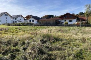 Grundstück zu kaufen in 86971 Peiting, Sonniges Grundstück in angenehmer Wohnlage