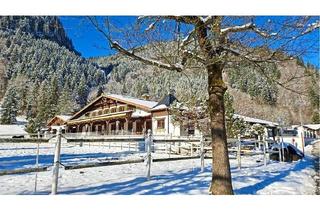 Immobilie kaufen in 87538 Obermaiselstein, Reiterhof der Extraklasse – Exklusives Gestüt in unberührter Panoramalage