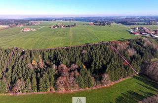 Gewerbeimmobilie kaufen in 87653 Eggenthal, Schöner FICHTENALTBESTAND in ruhiger Lage des Ostallgäus