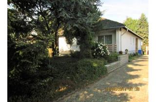 Wohnung mieten in 67310 Hettenleidelheim, 84 m2 lichtdurchflutete Wohnung