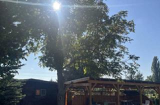 Einfamilienhaus kaufen in 03253 Doberlug-Kirchhain, Klein und Fein