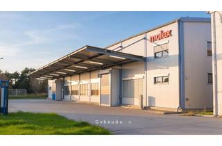 Büro zu mieten in 15806 Zossen, Produktions- oder Logistikhalle in Zossen – 2.544 m²+, 8 m Deckenhöhe, top angebunden!
