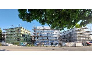 Wohnung kaufen in 55218 Ingelheim, Ingelheim am Rhein - Genossenschaftliches Wohnen Ingelheim Rhein: POLYCHROM projekt1