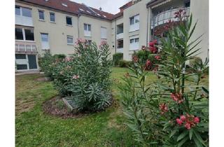 Wohnung kaufen in 67071 Ludwigshafen, Ludwigshafen am Rhein - Eigentumswohnung