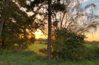 Haus kaufen in 31633 Leese, Leese - 1000m² Haus Halle Hobby Gewerbe Tierhaltung 7000m² Grundstück