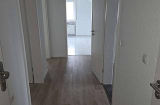 Wohnung mieten in Nassaustr. 17, 65719 Hofheim am Taunus, Erstbezug nach Sanierung: Charmante 2-Zimmer Dachgeschosswohnung in Hofheim