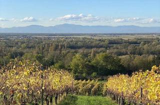 Wohnung mieten in Im Rebgärtle, 79415 Bad Bellingen, Wohnen in Aussichtslage