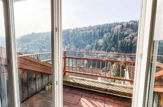 Wohnung mieten in 69250 Schönau, Helle 2-Zimmer-Dachstudio mit Südbalkon in Schönau