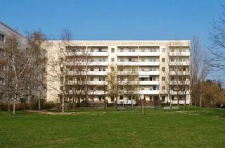 Wohnung mieten in Schwarzwurzelstraße 16, 12689 Marzahn, gemütliche Single Wohnung