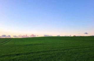 Wohnung mieten in Distelweg, 18195 Tessin, Erstbezug mit Aufzug und EBK in Tessin!