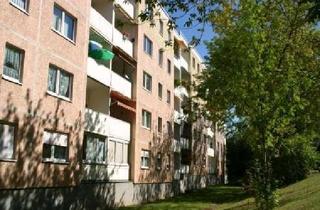 Wohnung mieten in Dietrich-Bonhoeffer-Str. 101, 06712 Zeitz, Bezugsfertige 1-Raum-Wohnung in ruhiger Lage