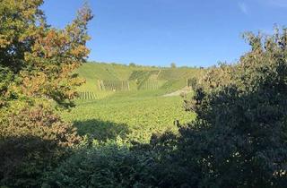 Wohnung mieten in 71384 Weinstadt, TOP - Großheppach, Maisonette 5-Zi.-Whg. evtl. für Home Office mit EBK, Geschmack und Aussicht!