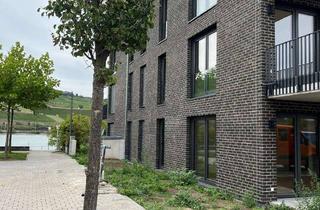 Wohnung mieten in 55411 Bingen, 2 Zimmer Wohnung in schönster Lage