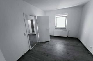 Wohnung mieten in 64846 Groß-Zimmern, Renovierte 3 Zimmer Wohnung mit Küche und neuem Badezimmer