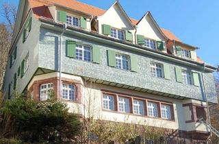 Wohnung mieten in Schillerallee 8 (Whg 3), 75378 Bad Liebenzell, Charmante 2,5 Zi-Wohnung in schmuckvollem Schwarzwaldhaus mit Terrasse und tollem Blick