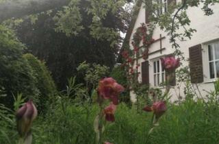 WG-Zimmer mieten in Sudetenstr., 93326 Abensberg, WG Zimmer in 120 m² Haus mit Zaubergarten