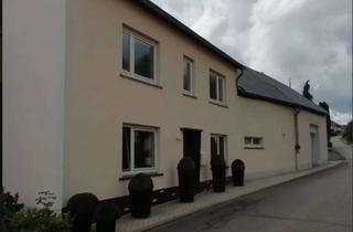 Einfamilienhaus kaufen in 54675 Geichlingen, Liebevolles saniertes Einfamilienhaus mit Nebengebäude, Garage und Garten