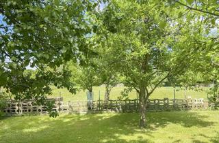 Haus kaufen in 23909 Bäk, Großer Garten, viel Raum fürs Leben – Familienfreundliches Haus mit Naturanschluss und Ausbaureserve