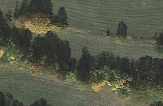 Grundstück zu kaufen in 95632 Wunsiedel, 2250 m² Ackerland