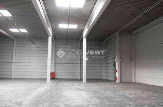 Gewerbeimmobilie mieten in 88299 Leutkirch, Lager-, Logistik-und Produktionshalle in Leutkirch an der A 96