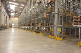 Gewerbeimmobilie mieten in 23843 Bad Oldesloe, Rampenlager vor den Toren Hamburgs zu vermieten.